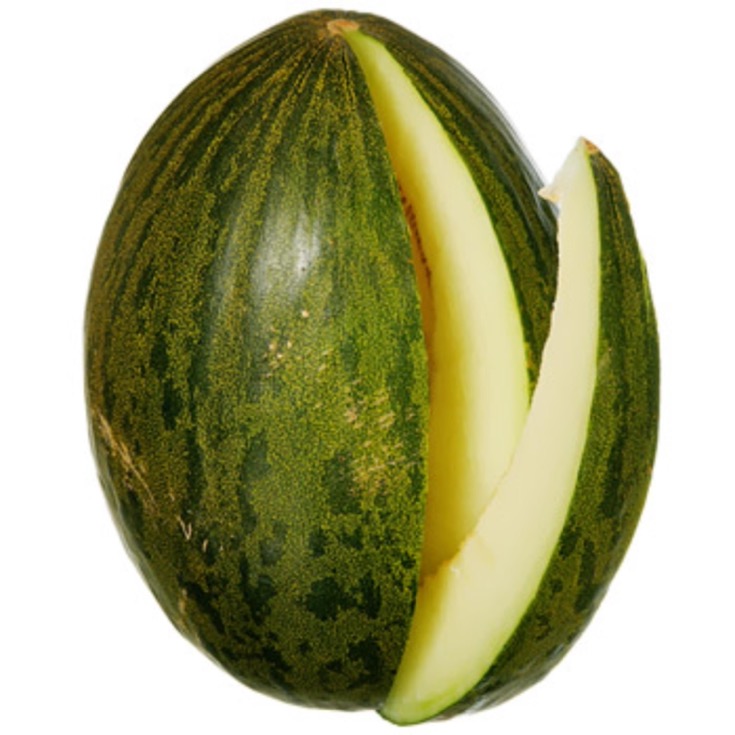 MELON PIEL SAPO