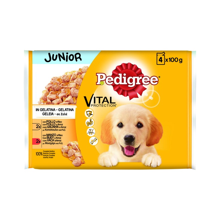 Comida húmeda para Perros Junior Sabor Pollo y buey