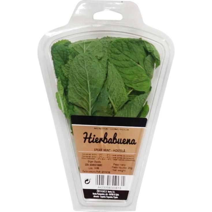 Hierbabuena 20g
