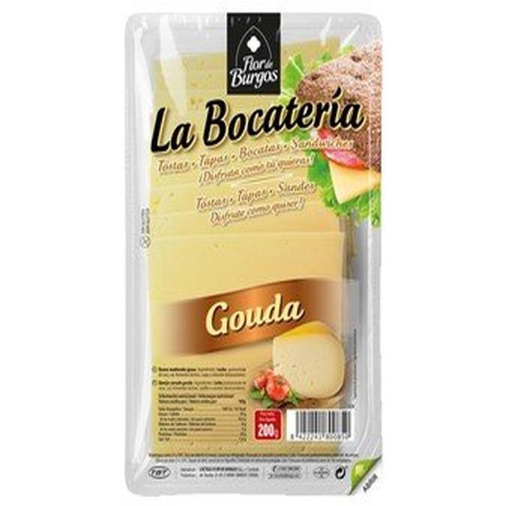 Queso Gouda en lonchas