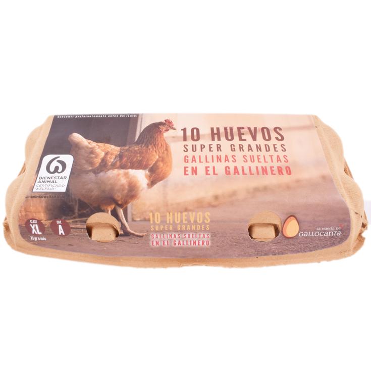 Huevos gallinas sueltas XL "Sierra del Madero" - 10 uds