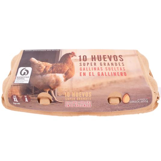 Huevos gallinas sueltas XL 