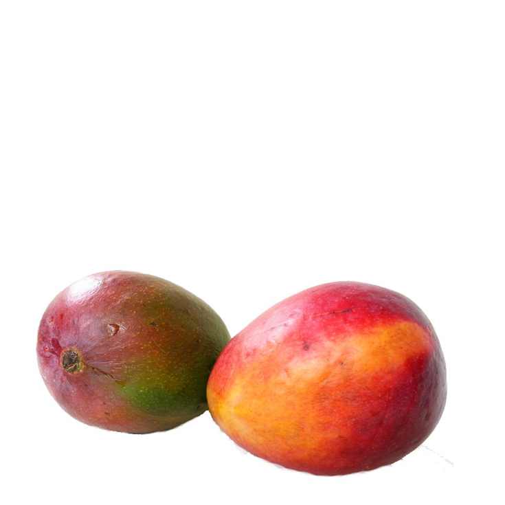 Mango - 2 uds Mango - 2 uds