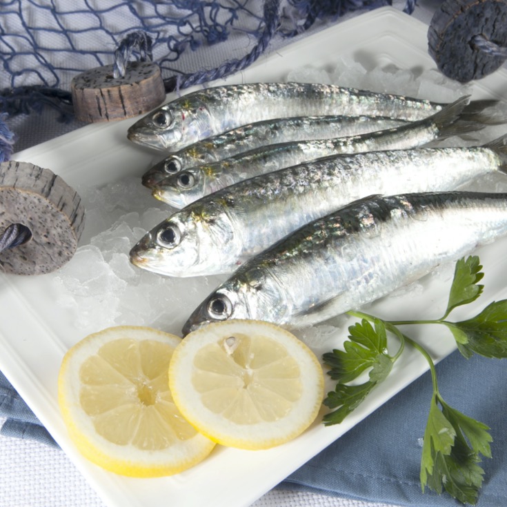 Sardinas 250g